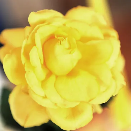 Hocheck 3* Altmünster