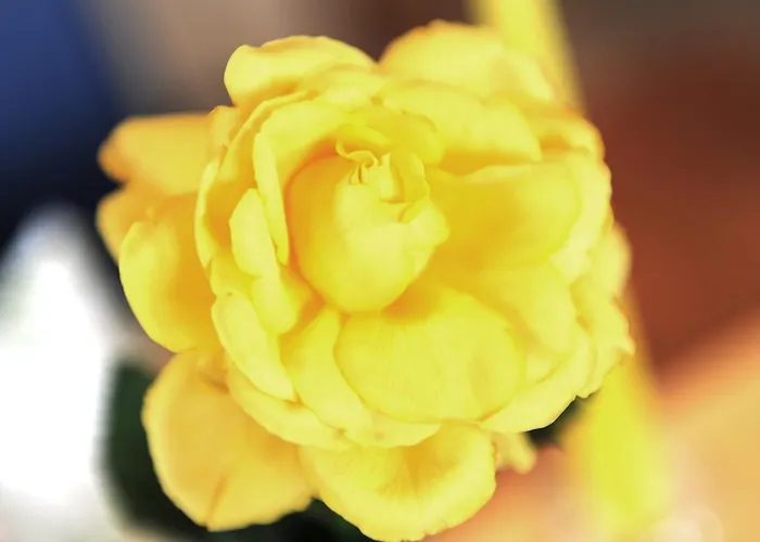 Hocheck 3* Altmuenster